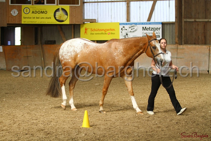 24-ApHC HIH_087.jpg